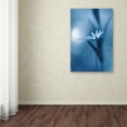 thumbnail image 3 of Trademark Fine Art 'For Elise' Canvas Art by Bee Thalin, 3 of 3