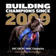 Bully Max Muscle Gain Bacon Flavor Soft Chews for Dogs, 10.6 oz. Bag