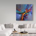 thumbnail image 3 of Trademark Fine Art 'Unbounded Orange Light' Canvas Art by CH Studios, 3 of 3