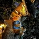 thumbnail image 1 of Resin Animal Decorations Solar Lights Garden Bunny Squirrel Climbing Wall Hanging Garden Homestay Landscaping(squirrel), 1 of 5