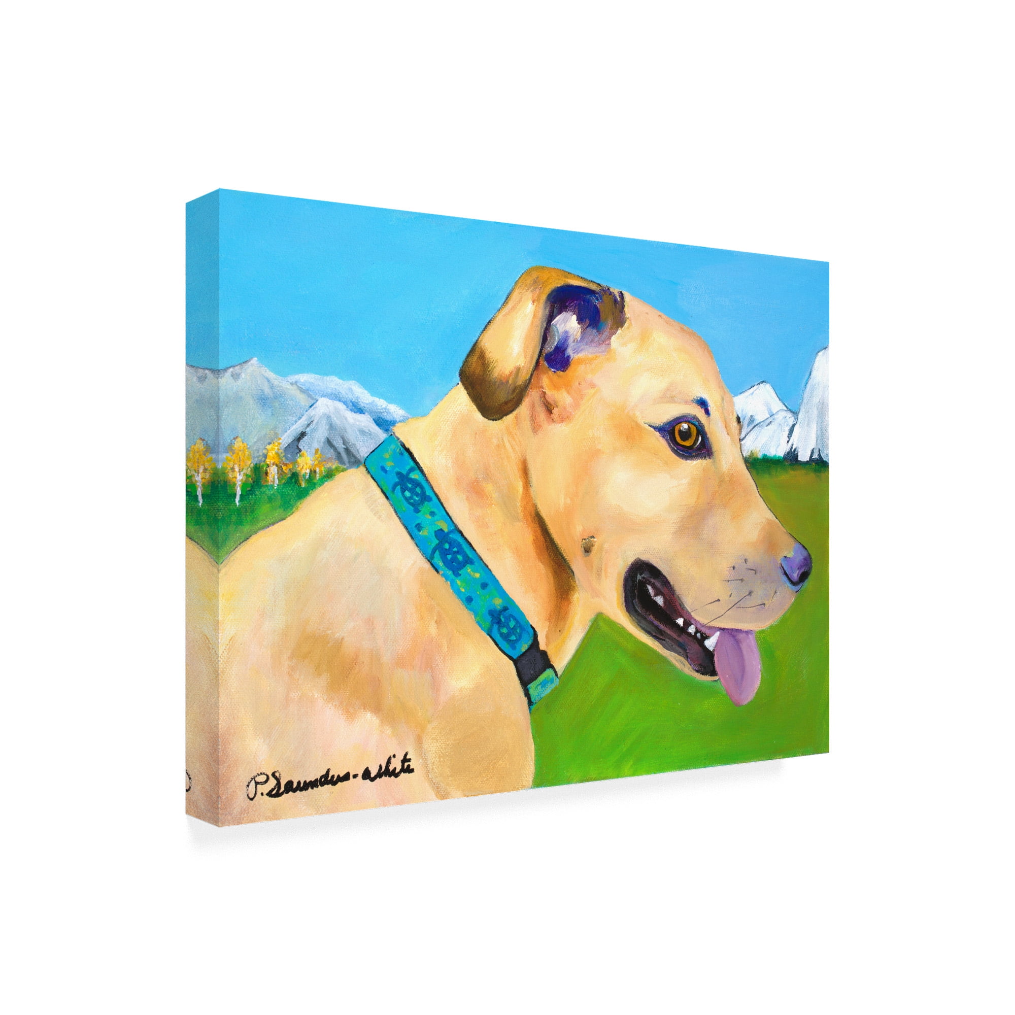 Trademark Fine Art 'Hadley X Large Copy' Canvas Art by Pat Saunders-White