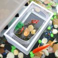 thumbnail image 4 of HEANUJJ 2Ud Red Transparente Para Acuario Con Caja De Separación Y Ventosas Para Reproducción De Peces, 4 of 6