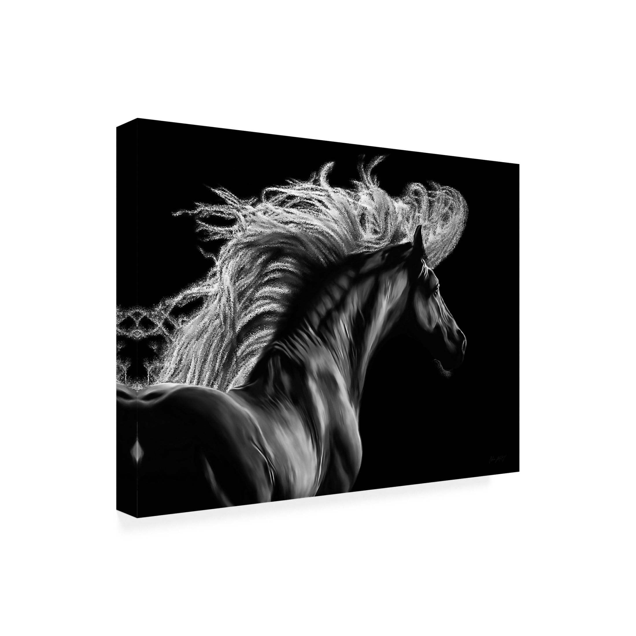 Trademark Fine Art Lord Amihere Le Equus Canvas Wall Art