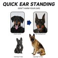 thumbnail image 2 of Pegatinas para levantar las orejas de perro, herramienta para levantar las orejas, herramientas verticales para el cuidado de las orejas de cachorro, 2 of 4