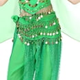 thumbnail image 3 of Beads & Coins Chiffon Belly Dance Skirts Hip Scarf with Coin Green, 3 of 3