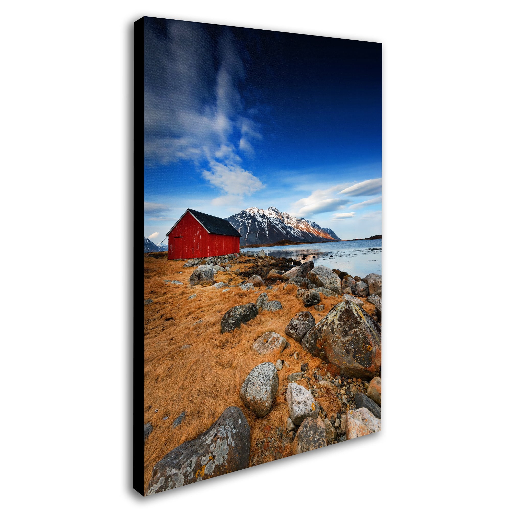 Trademark Fine Art "Endure" Canvas Art by Philippe Sainte-Laudy