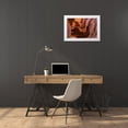 thumbnail image 3 of Paulson, Don 14x11 White Modern Wood Framed Museum Art Print Titled - AZ, Canyon X Formation in eroded sandstone rock, 3 of 4