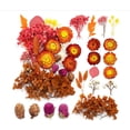 thumbnail image 1 of Dried Flowers, Dried Flowers, Dried Flowers for Crafts, Dried Flowers, Small Dried Flowers Set for Art, DIY, Resin, Scrapbooking, Crafts, Cards Making, 1 of 5