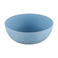 thumbnail image 3 of Mainstays 38 Ounce Round Plastic Daisy Etched Cereal Bowl, Light Blue, 3 of 4