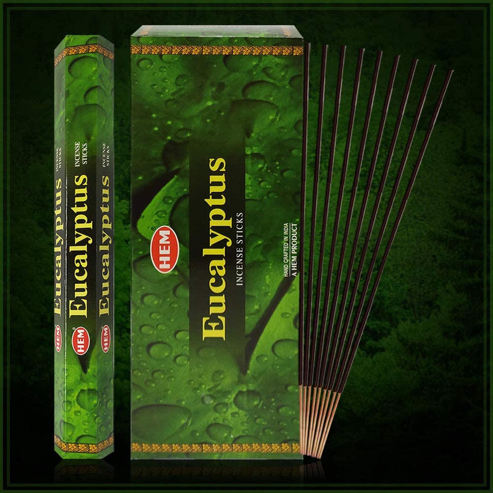 Eucalyptus Incense Sticks and Incense Stick Holder Bundle Insence Insense Hem Incense Sticks