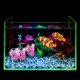 thumbnail image 4 of UPOUART 10Ud De Acuario Con Plástica Artificial Para Paisaje Natural Y Ambiente Acuático, 4 of 7