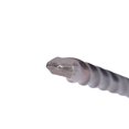 thumbnail image 2 of Century Drill & Tool, 81816, 1/4"X6"X8",SDS Plus,2 Cutter Design Drill Bits, Accurate & Precise Drilling, 2 of 2