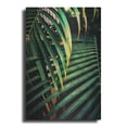 thumbnail image 1 of Luxe Metal Art 'Beauty Amongst Palms 3' by Ashley Aldridge Metal Wall Art, 12"x16", 1 of 7