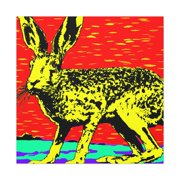 Jackrabbit Pop Art - Canvas