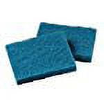 All-Purpose Scouring Pad 9000, 4 X 5.25, Blue, 40/carton | Bundle of 5 Cartons