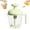C, variant on Manual Egg Mixer, Press the Egg Beater Cup, Multi-function Blender, Built-In Filter on the Cup Mouth to Filter Egg Foam, Suitable for Beating Eggs, Whipping Cream