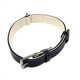 thumbnail image 1 of 1 collar de perro de cuero., 1 of 3