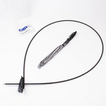 Sunroof Cable Guide - Genuine Sunroof Guide LH for Hyundai Kia Azera Sonata Santa Fe 81647-1F000