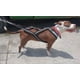 thumbnail image 4 of Arnés De Mushing/canicross Para Perros, 4 of 5
