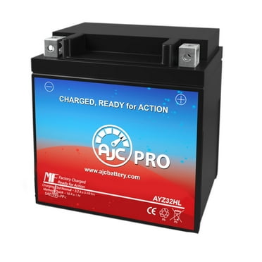 AJC Pro Battery Compatible with Interstate FAYIX30L Powersports Replacement Battery