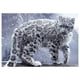 thumbnail image 1 of Diy Animal paisaje pintura de diamantes de imitación resina cristal bordado diamante imagen hogar decorativo punto de cruz Speravity JJ22529-02, 1 of 4