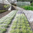 thumbnail image 2 of Insect Nets Garden Nets Vegetable Field Fine Nets Crop Protection Nets Garden Nets Bird Nets Garden Insect Nets (2.5x10m), 2 of 5