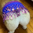 thumbnail image 5 of Puppy Belly Dance Skirt - Cute Scarf for Small Dogs - Festive Sequined Outfit for , Christmas & Pet Dance Performances, 5 of 8