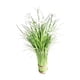 thumbnail image 1 of Planta de flores artificiales, arreglo floral falso, planta falsa, centro de mesa, bonsái PP Blanco, 1 of 9