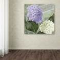 thumbnail image 4 of Trademark Fine Art "Hortensia 1" Canvas Art by Color Bakery, 4 of 4
