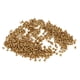 thumbnail image 3 of Clothing Rivets Hollow Rivets Corrosion Resistance  Toughness Fine Workmanship  for Clothing for Bags ANGGREK Otros, 3 of 8