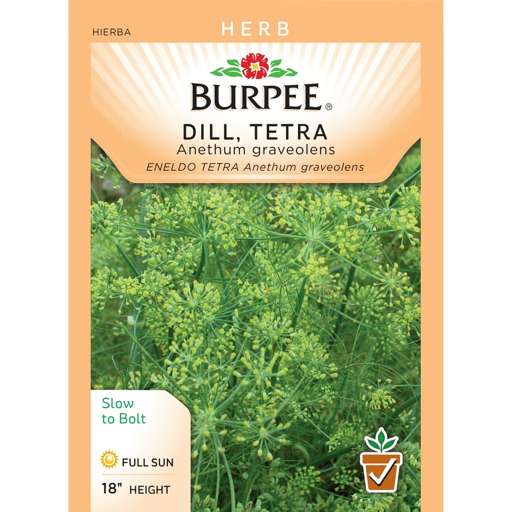 Burpee-Dill, Tetra Seed Packet - Walmart.com - Walmart.com