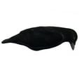 thumbnail image 4 of Final Approach Last Pass Fully Flocked Crow Decoys, Pack of 3, 4 of 5