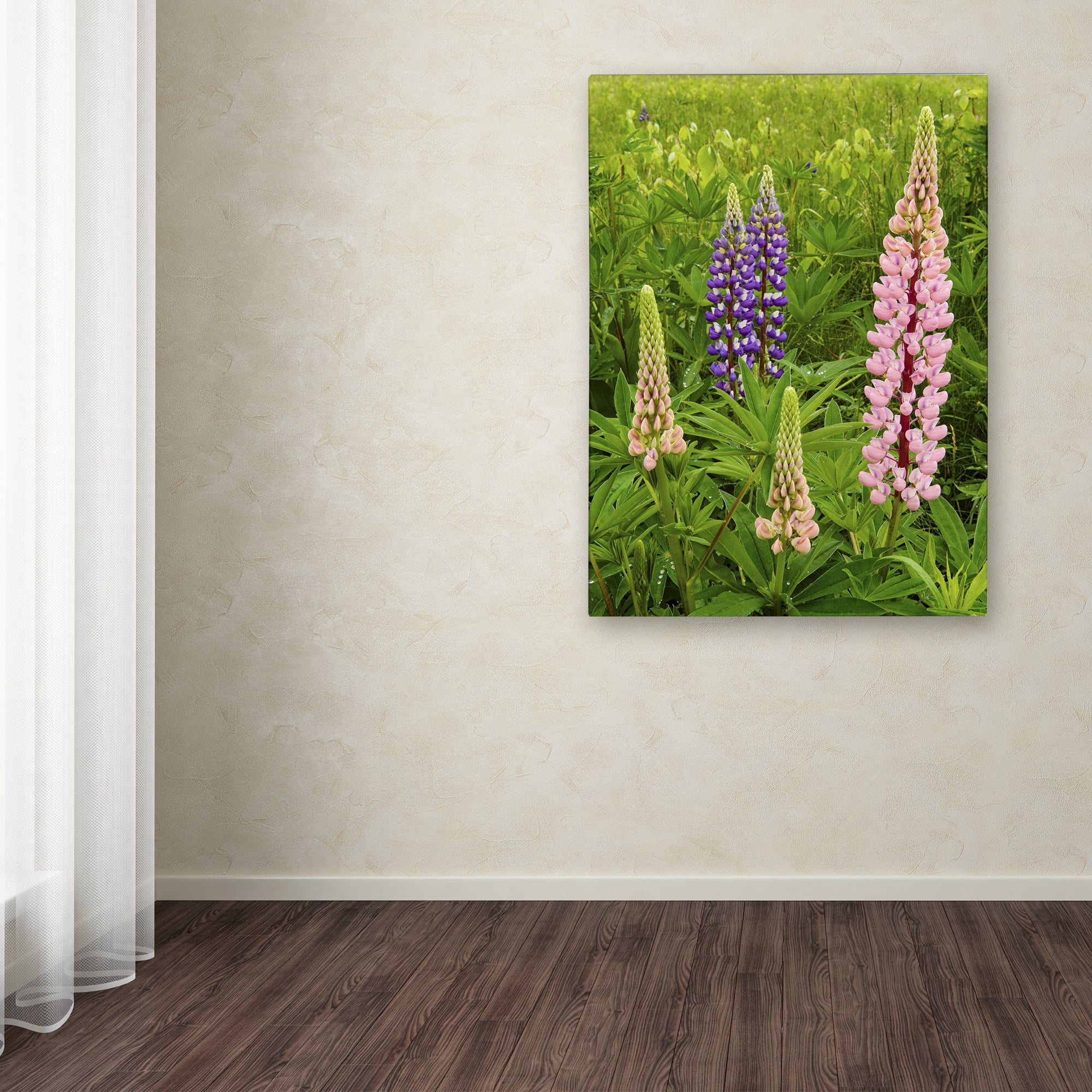 Trademark Fine Art "Lupine Family" Canvas Art by Michael Blanchette Photography