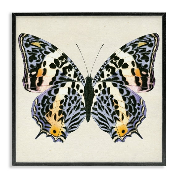 Stupell Industries Speckled Butterfly Sketch Insects Painting Black Framed Art Print Wall Art, 12 x 12