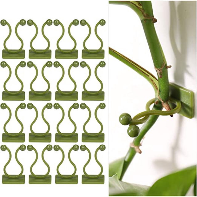 100 clips de soporte para plantas trepadoras, clips autoadhesivos para plantas, clip de fijación de pared de vid verde, fijador de pared, clip de gancho de soporte para plantas, clip de estaca, decora