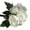 White - 2 Bouquets, variant on Artificial Florals 6 Heads Peony Flowers Bouquets Faux Silk Flowers for Mothers Day Home Office Parties Wedding Centerpieces Decor and DIY, 2 Bouquets