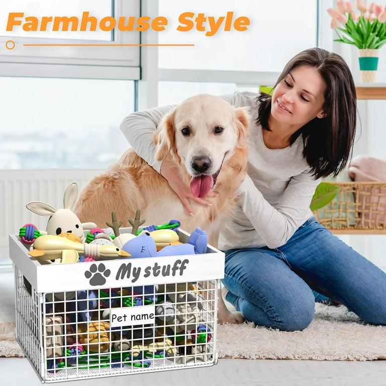 Pets at home dog toy box online