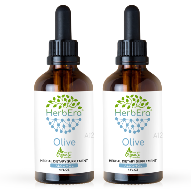 Olive Alcohol Herbal Extract Tincture, SuperConcentrated Organic Olive