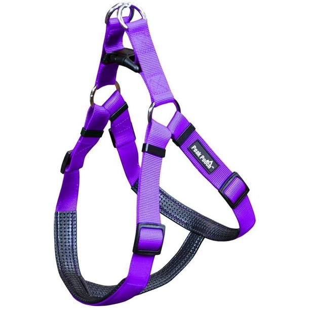 Dog harness medium 2025