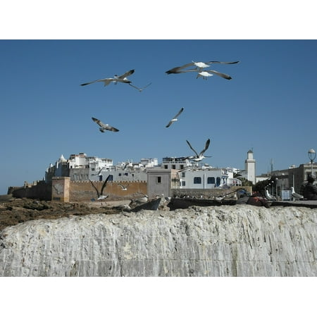 Canvas Print Gulls Beach Rock Morocco Atlantic Coast Essaouira Stretched Canvas 32 x