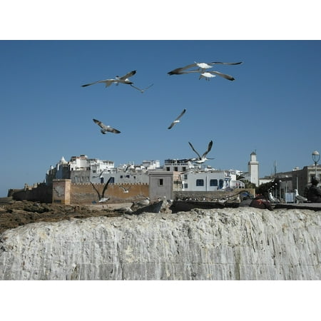 - Peel-n-Stick Poster of Gulls Beach Rock Morocco Atlantic Coast Essaouira Poster 24x16 Adhesive Sticker Poster Print