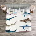 thumbnail image 3 of Ambesonne Fish Quilted Bedspread Set 3 Pcs, Cartoon Shark Types Wild, Queen Size, Multicolor, 3 of 3