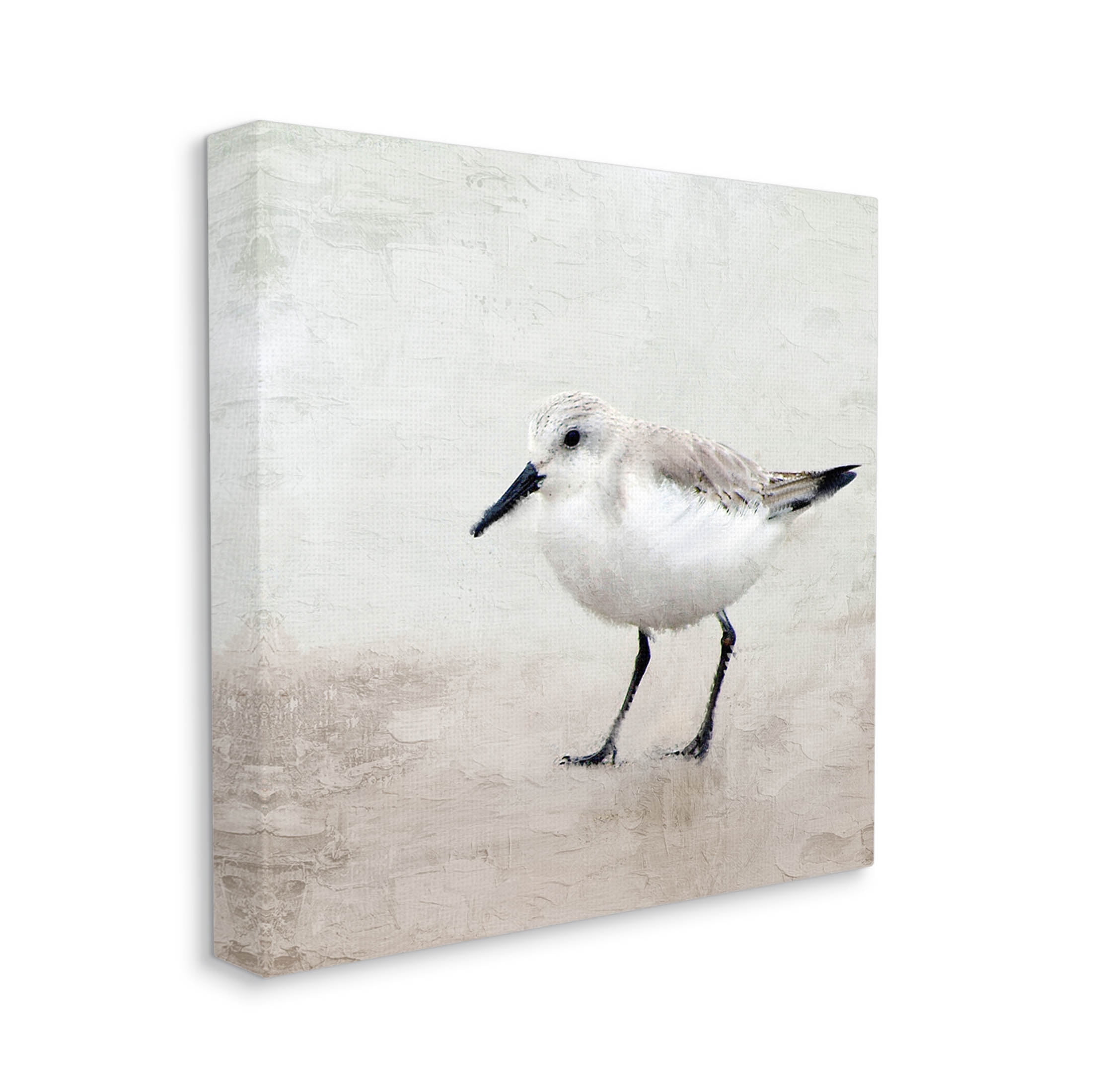 Stupell Industries Lone Sandpiper Bird Portrait Graphic Art Gallery Wrapped Canvas Print Wall Art, Design by Kim Allen