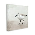 thumbnail image 3 of Stupell Industries Lone Sandpiper Bird Portrait Graphic Art Gallery Wrapped Canvas Print Wall Art, Design by Kim Allen, 3 of 7
