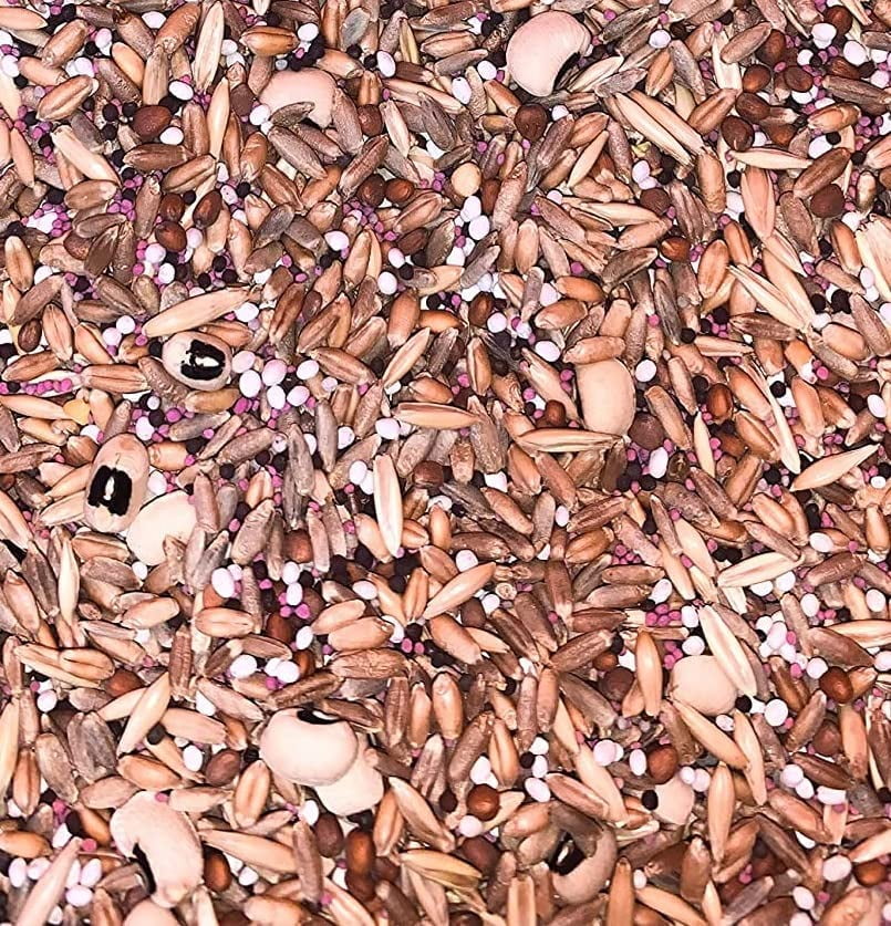 Dinner Getter Whitetail Deer Food Plot Seeds for Planting - 10 Way Mix - 8 Pounds of Seeds