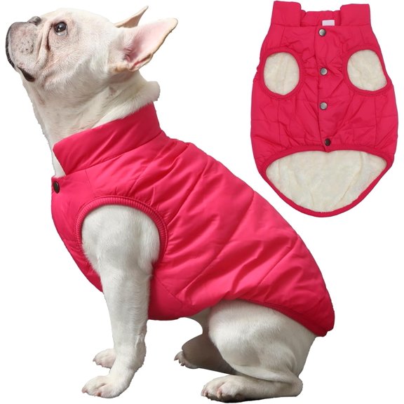 2 Layers Fleece Lined Warm Dog Jacket for Puppy Winter Cold Weather,Soft Windproof Small Dog Coat 1Pack