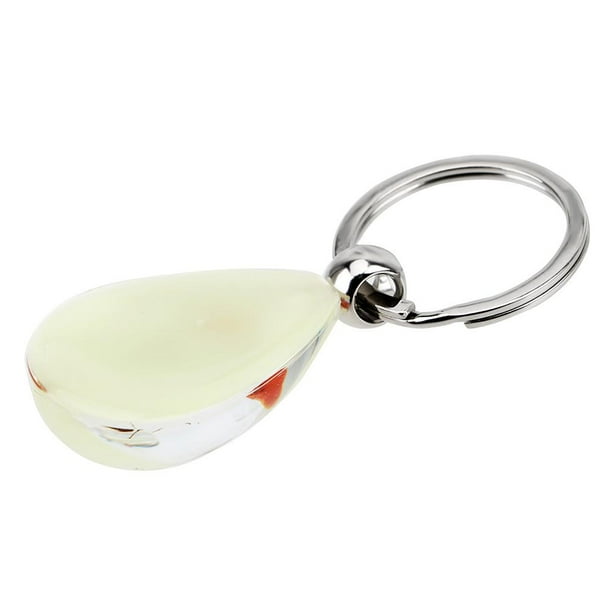 Llavero de insectos brillantes, llavero de especímenes de animales, regalo coleccionable de resina para amigos y familiares