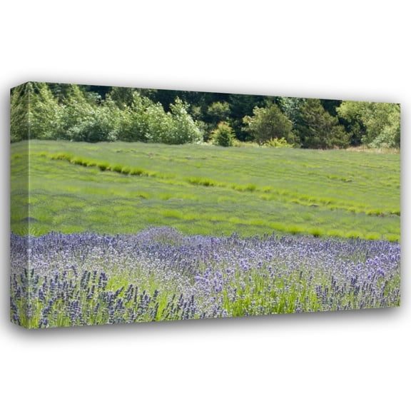Dana Styber 24x17 Gallery Wrapped Canvas Wall Art Titled - Lavender Hill II