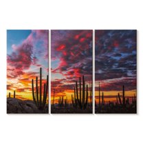 Elephant Stock Baja California Cactus Forest Wall Art - Horizontal Multi Panel Canvas - Living Room Wall Decor - Nature Multi Panel - Blue And Orange Decor By Christian Heeb - 65" x 42"