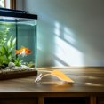 thumbnail image 1 of MERRYHAPY 10Ud Hoja Acuario Para Descanso Y De Betta, 1 of 8